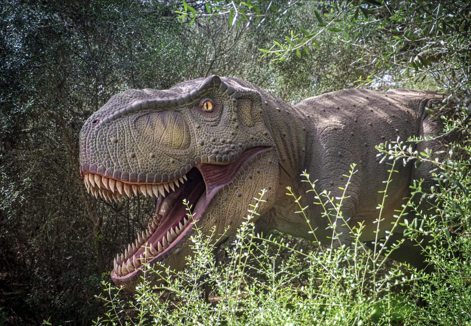 From Palma de Mallorca: Dinosaurland tour - Kids’ Zone and Additional Activities