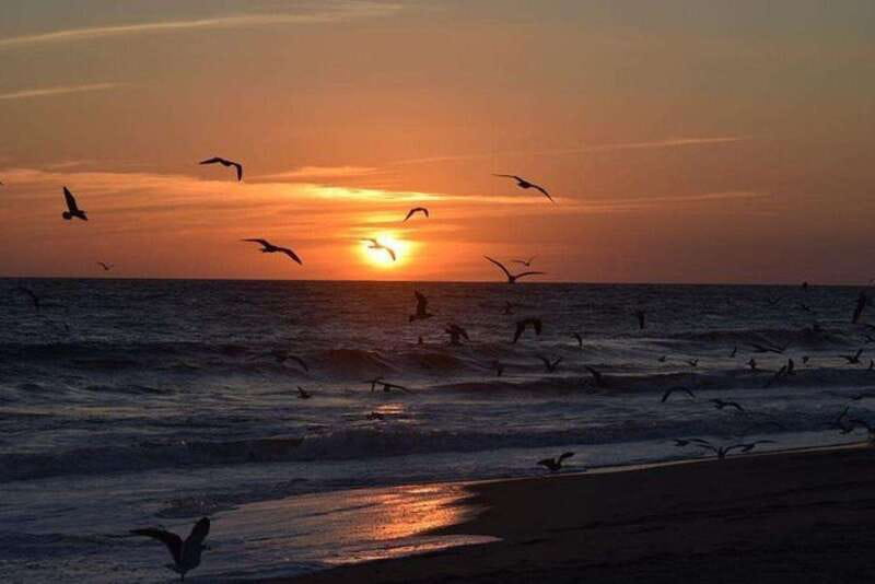 Huatulco: Unique Turtle Sanctuary & Sunset Experience - FAQ