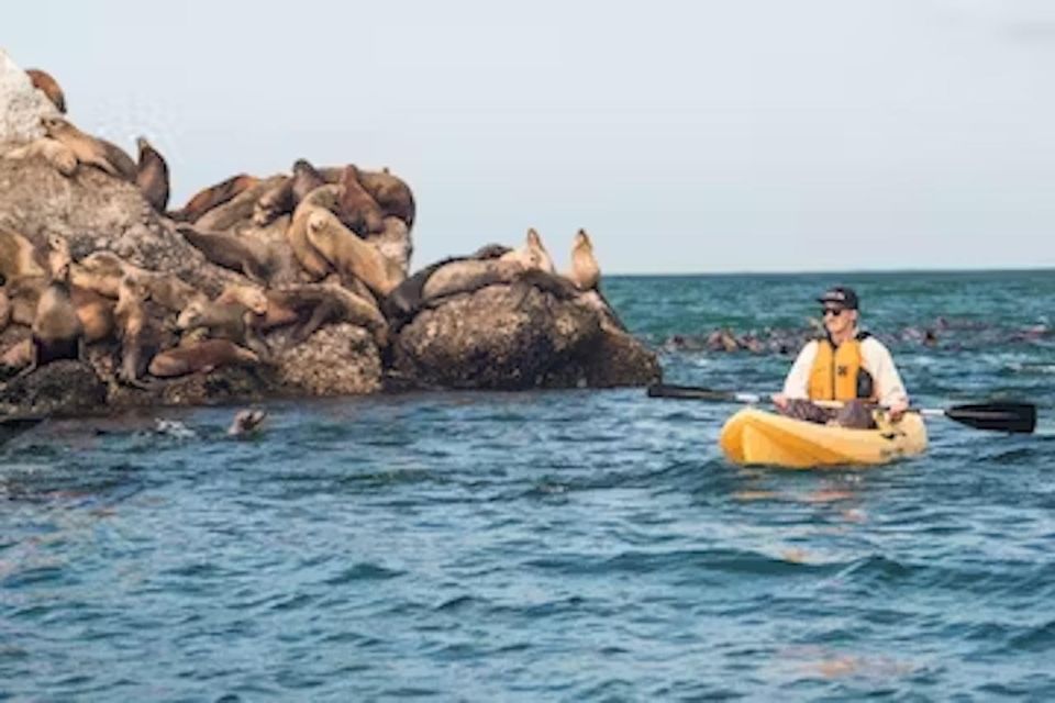 Monterey: Pebble Beach Kayak Tour - Why This Tour Offers Real Value