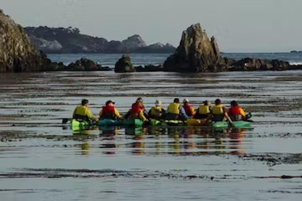 Monterey: Pebble Beach Kayak Tour - Final Thoughts