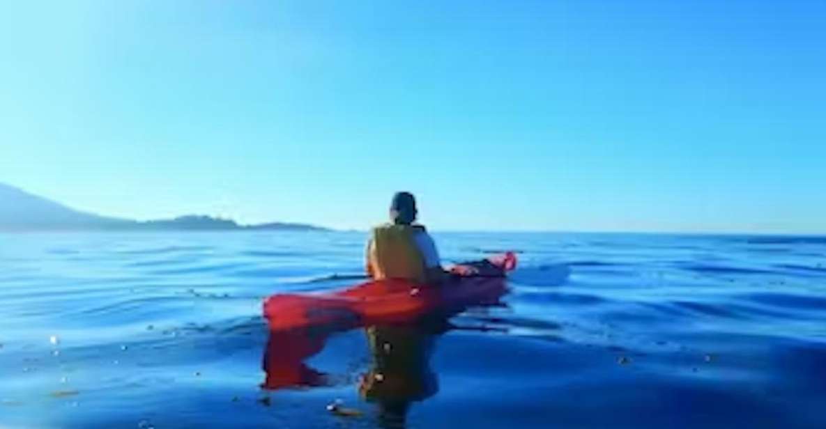 Monterey: Pebble Beach Kayak Tour - Monterey: Pebble Beach Kayak Tour – A Truly Unique Coastal Experience