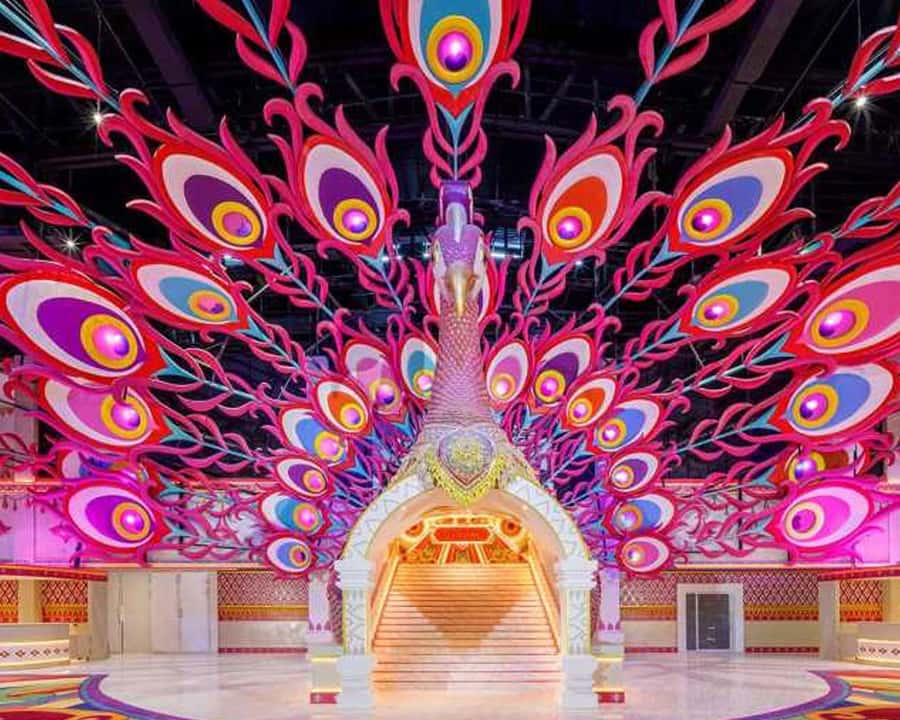 Carnival Magic Show with Buffet Dinner - FAQ