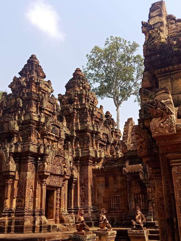Private Guided Tours From Angkor Wat Sunrise To Banteay Srei - The Jungle Mystery of Ta Prohm
