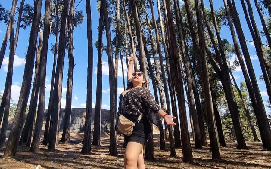 Horse ride through Sacsayhuaman, Qenqo and eucalyptus forest - The Sum Up