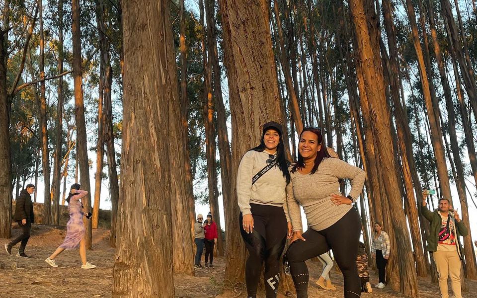 Horse ride through Sacsayhuaman, Qenqo and eucalyptus forest - Who Will Love This Tour?