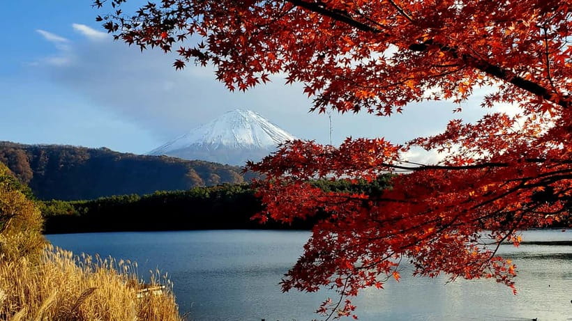 Mount Fuji Full-Day Private Tour from Tokyo (Customizable) - Why This Full-Day Mount Fuji Tour Stands Out  