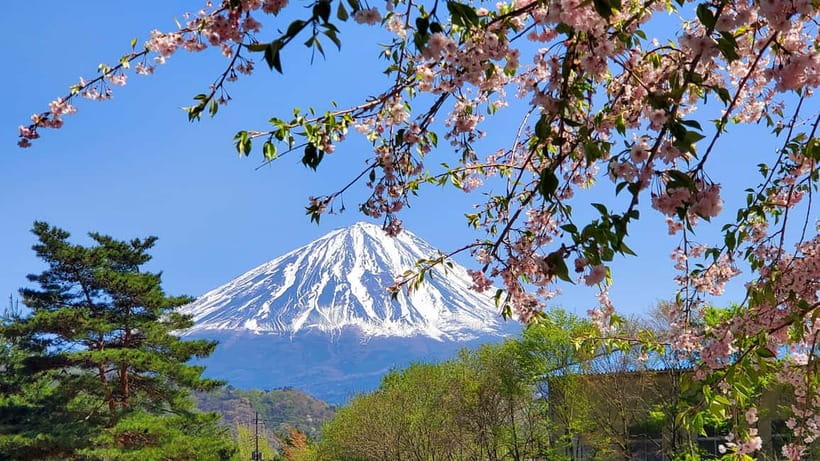 Mount Fuji Full-Day Private Tour from Tokyo (Customizable) - FAQ  