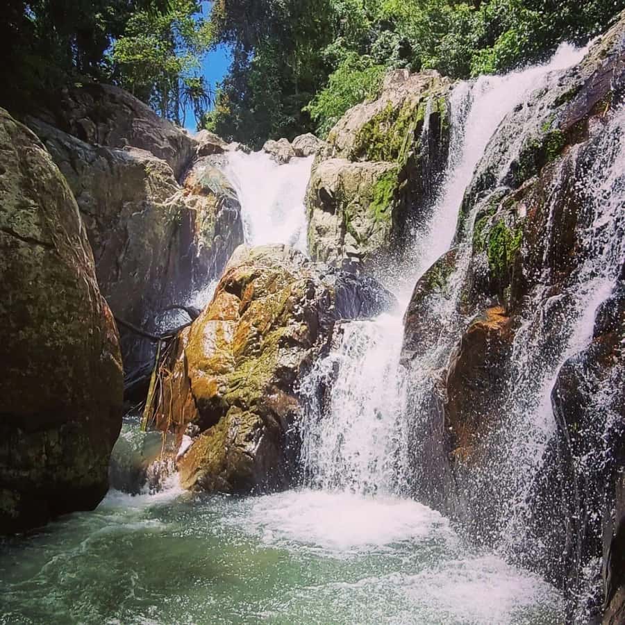 Samui X Quad 4WD Buggy Tour with lunch - The Bottom Line: Who Will Love This Tour?