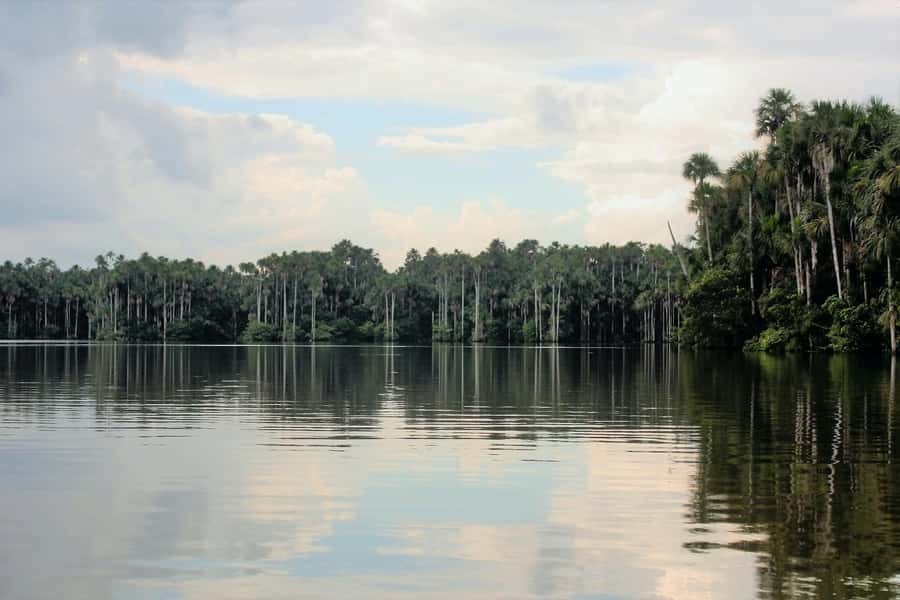 From Puerto Maldonado - Tambopata 4D/3N - A Deep Dive into the Amazon Experience