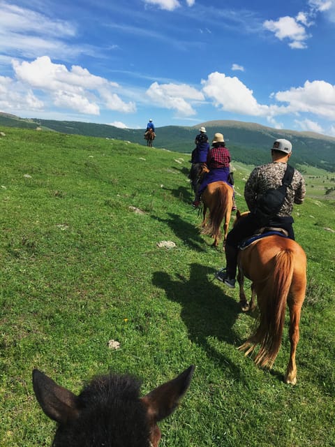 Horse riding experience in Terelj National park 1 day - Key Points