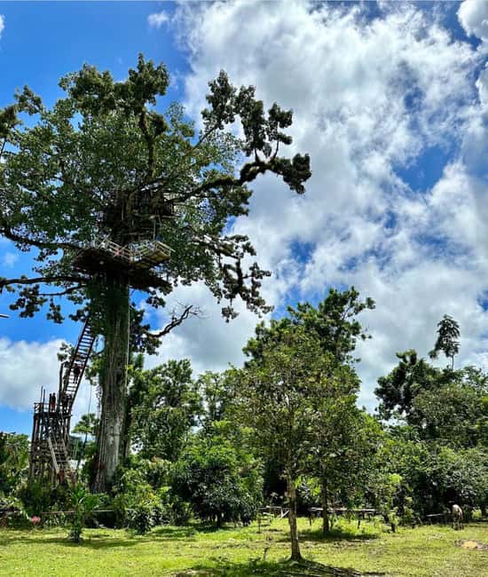 3-in-1: Los Haitises w/ Montaña Redonda & Yanigua Waterfalls - Good To Know