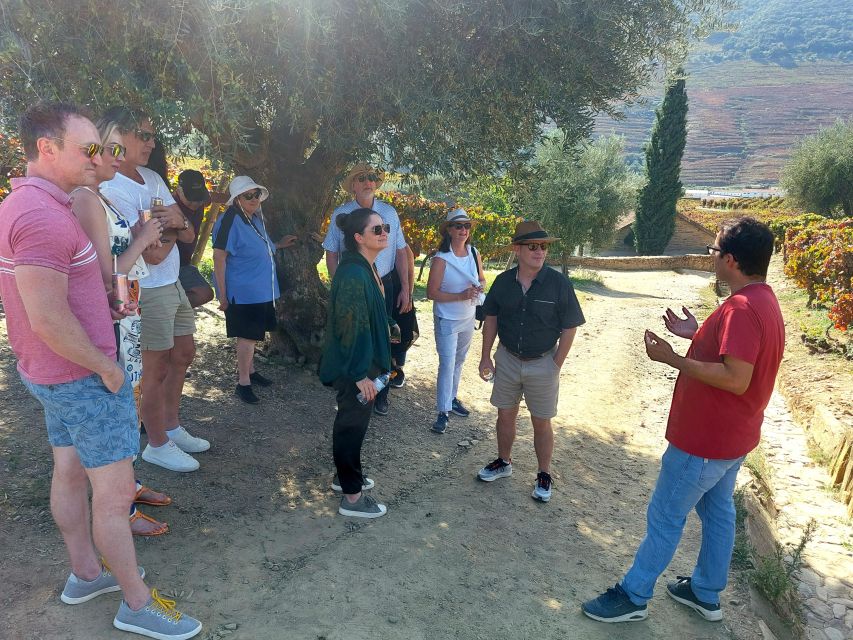 Douro Valley private tour & wine experience including lunch - A Deep Dive into the Douro Valley Private Tour Experience
