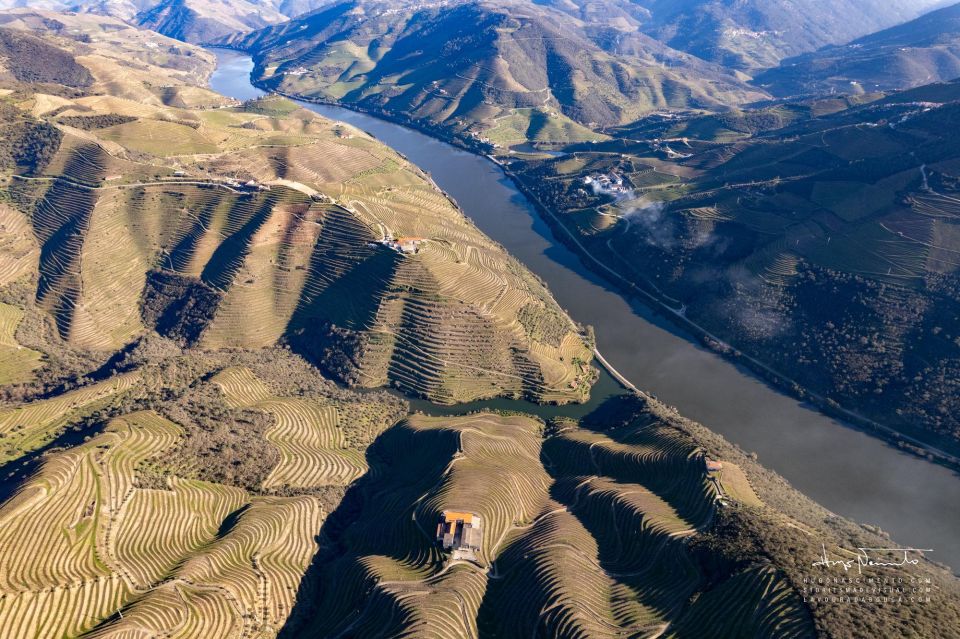 Douro Valley private tour & wine experience including lunch - Who Should Consider This Tour?