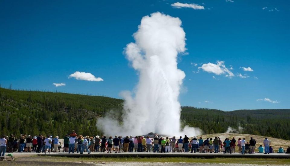 From Bozeman: Yellowstone Day Tour (Lower Loop) - The Value of This Yellowstone Tour