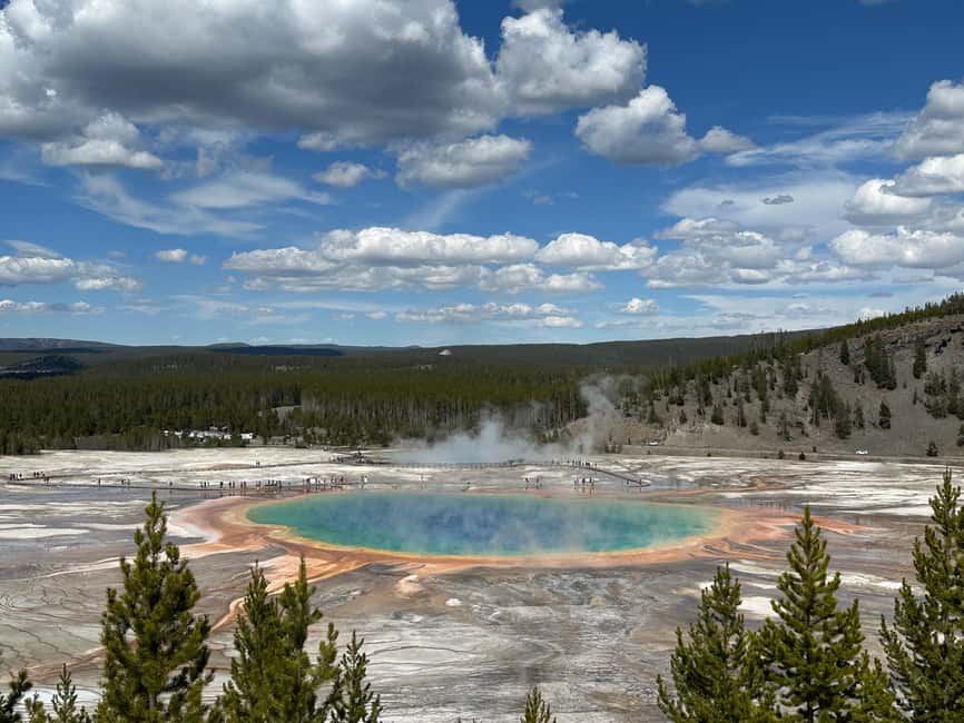 From Bozeman: Yellowstone Day Tour (Lower Loop) - From Bozeman: Yellowstone Day Tour (Lower Loop)