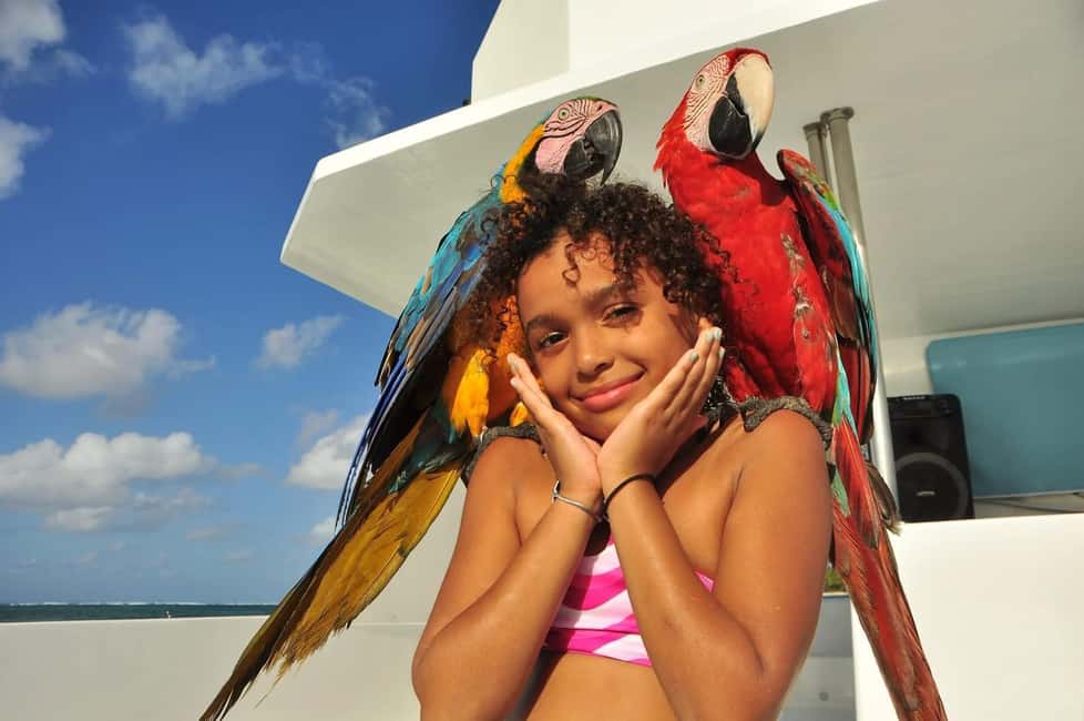 Excursión a Isla Saona desde Punta Cana (Todo incluido). - Who Would Enjoy This Tour?