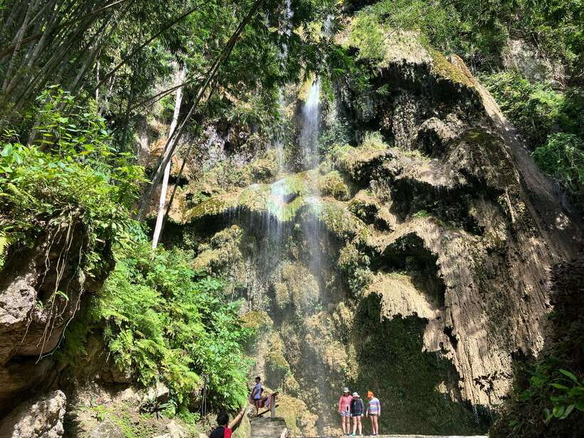 Oslob Whale Shark & Tumalog Waterfalls & Sumilon Sandbar - Detailed Breakdown of the Experience