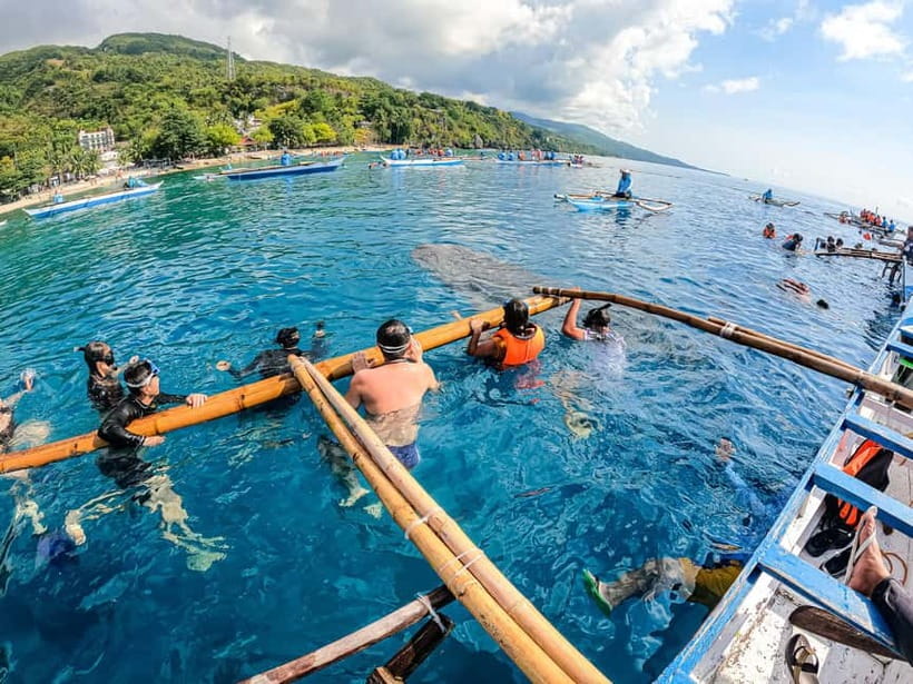Oslob Whale Shark & Tumalog Waterfalls & Sumilon Sandbar - Practical Aspects and What to Expect