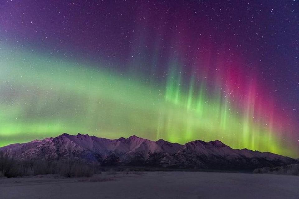 Anchorage: Aurora Borealis Northern Lights Photography Tour - A Deep Dive into the Anchorage Aurora Borealis Photography Tour
