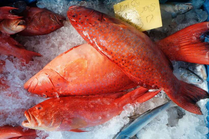 Tiong Bahru: Stories & Snacks in Singapore's Oldest Estate - Exploring the Tiong Bahru Wet Market