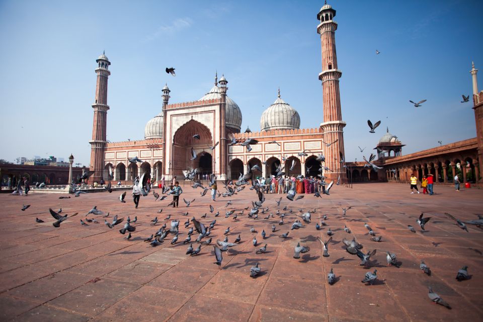 Old & New Delhi City Tour  Half or Full Day Options - Itinerary Breakdown: New Delhi – A Reflection of Power and Peace