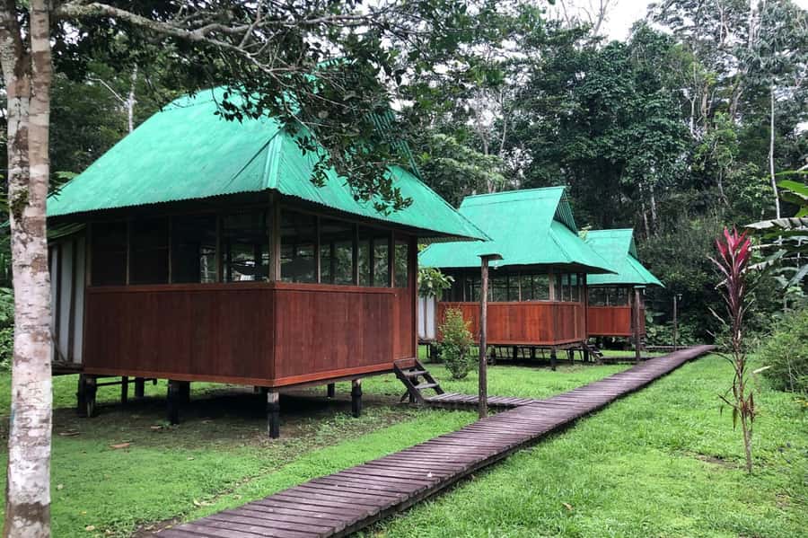 Manu Jungle Expeditions 3 Days - Why This Tour Offers Great Value