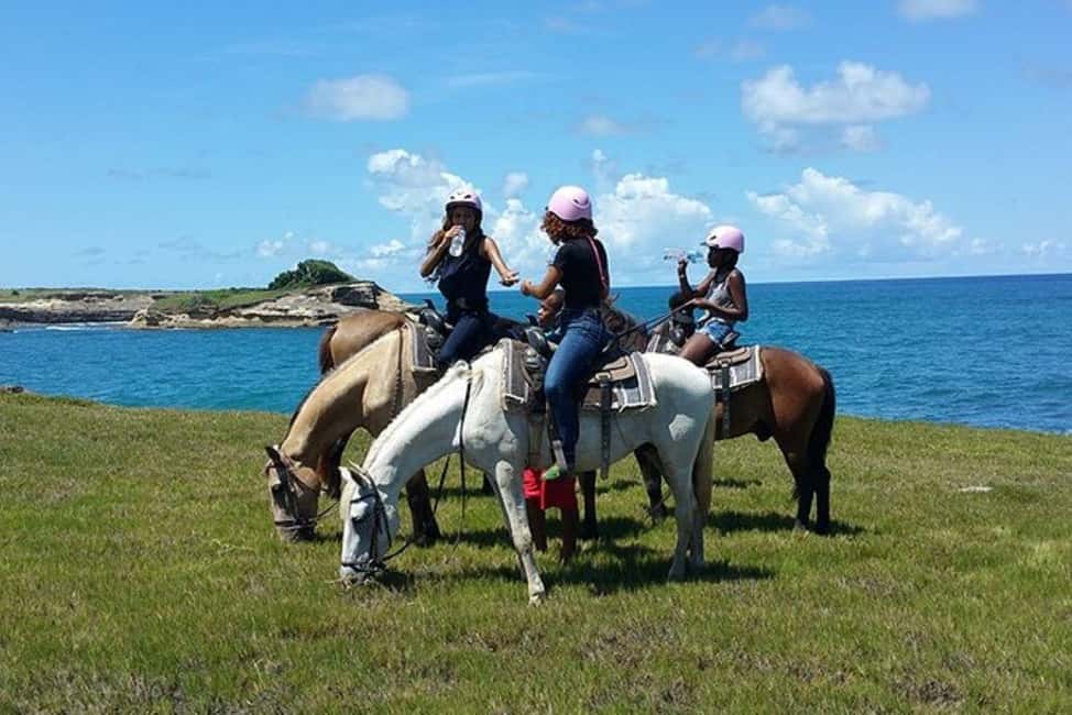 St. Lucia: Horseback Riding Adventure - Good To Know