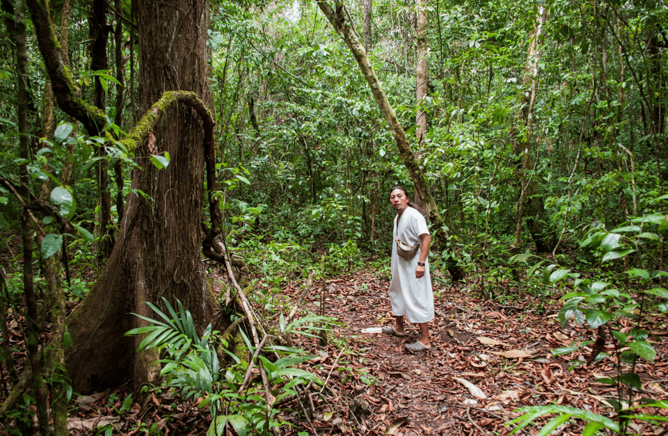 2 Day Lacandon Jungle, the Lost City and Bonampak Ruins - Practical Tips for Travelers