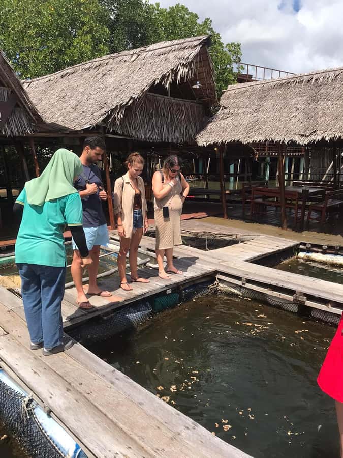 From Ko Lanta: Mangrove Boat Trip with Lunch & Wildlife - Final Thoughts