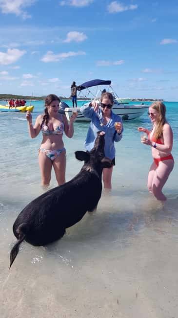 Center Console Private Bahamas Boat Charter - Why This Tour Works