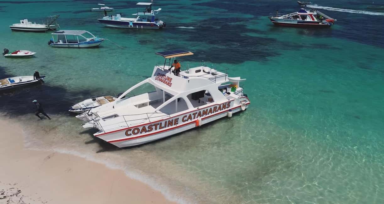 Punta Cana: Catamaran Tour with Reef Snorkeling and Open Bar - Discover the Best of Punta Cana on a Catamaran Adventure