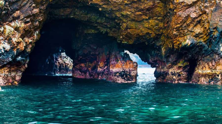 Ballestas Islands & Paracas National Reserve from Paracas - Key Points