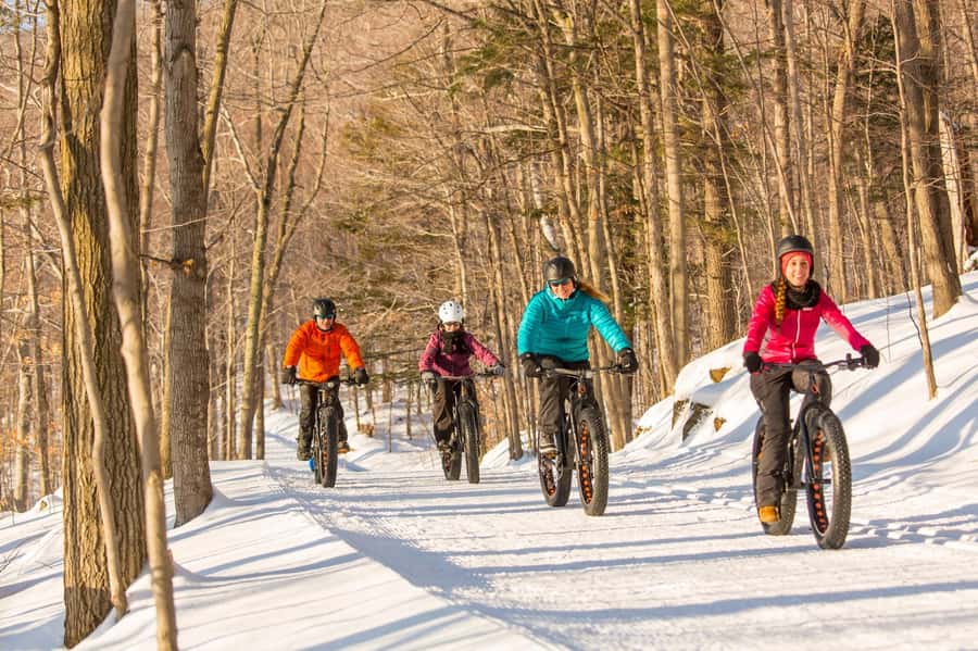 Îles-de-Boucherville: Park Entry w/ Fat-bike & Snowshoeing - Final Thoughts: Is It Worth It?