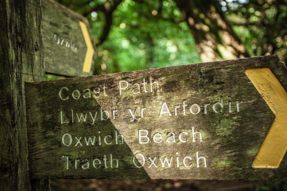 From Cardiff: Mumbles, Three Cliffs, Worms Head Gower Tour - The Value of the Experience
