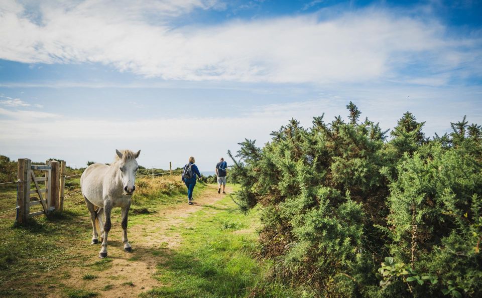 From Cardiff: Mumbles, Three Cliffs, Worms Head Gower Tour - Frequently Asked Questions