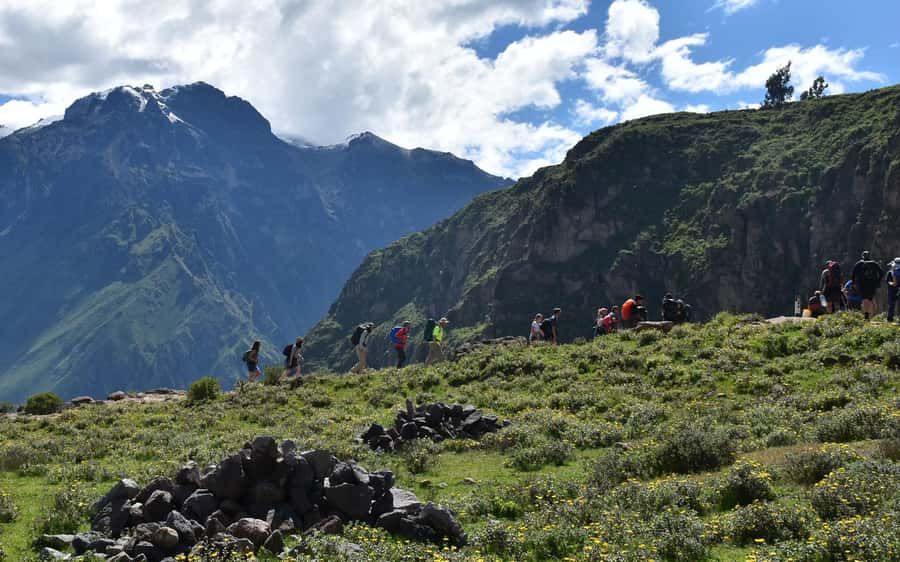 Arequipa: trekking to the Colca Canyon 2 days/1 night - What to Expect: Details & Practicalities