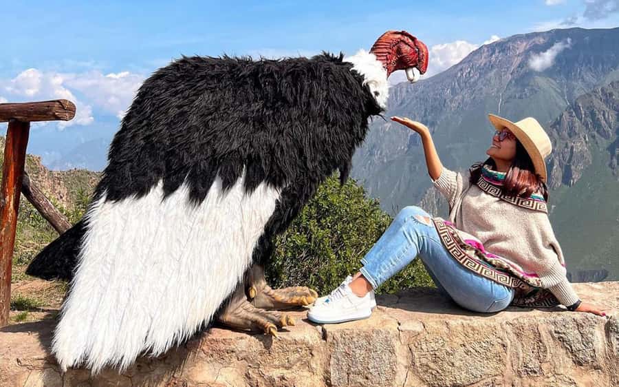 Arequipa: trekking to the Colca Canyon 2 days/1 night - FAQ