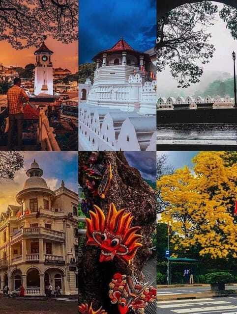 Sigiriya To Kandy Private Transfer: Visit Dambulla Temple - Final Thoughts