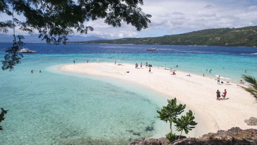 Cebu Oslob Whaleshark, Tumalog Falls&Sumilon Island(Private) - Who Will Love This Tour?