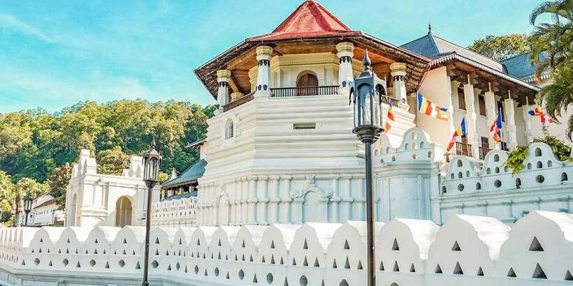 Colombo to Kandy Temple of Tooth Day Trip (Kandy City Tour) - Who Is This Tour Best For?