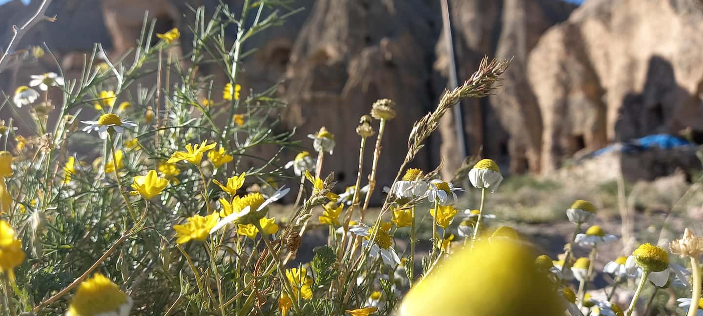 Cappadocia: Green Tour with Small Group - FAQ