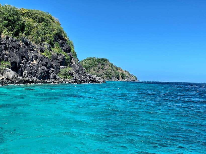 Apo Island Wonders: Snorkel with Sea Turtles in Dumaguete - Key Points  