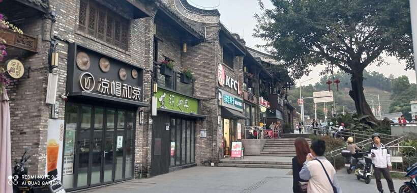 Private Shenzhen Day Tour from Hong Kong - Authentic Experiences and Highlights from Reviews