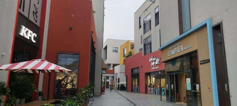 Private Shenzhen Day Tour from Hong Kong - Detailed Breakdown of the Shenzhen Day Tour