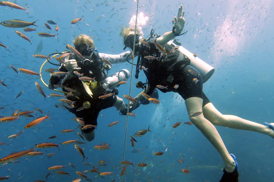 Koh Samui: Discover Scuba Diving - The Open-Water Dive Experience