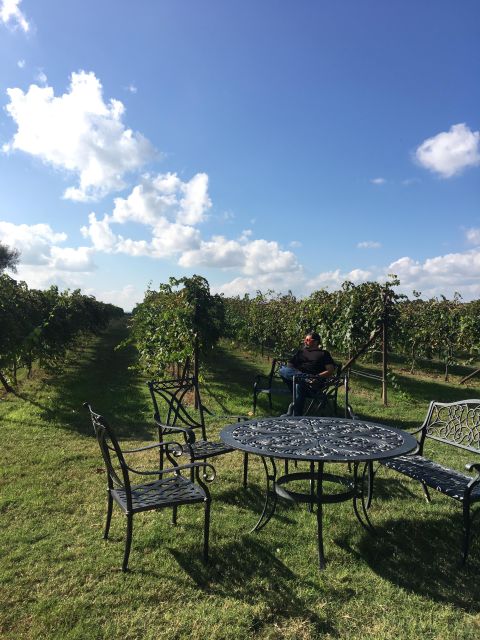 San Antonio: Fredericksburg Wineries Day Trip with Tastings - The logistical and practical aspects