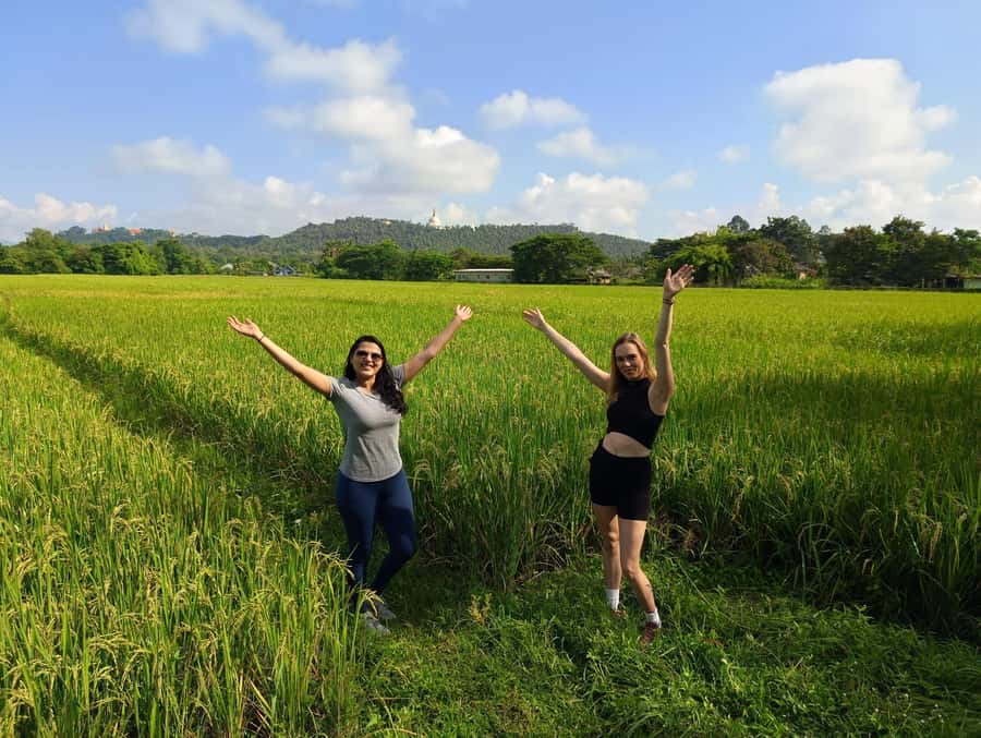 Meditation & Yoga Retreat in Nature - A Closer Look at the Experience