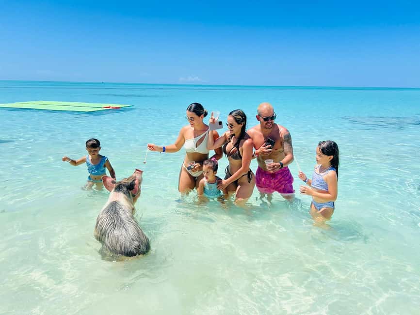 Nassau: Swimming Pigs, Turtles, Snorkel & More - The Speedboat Ride and First Stop: Athol Island
