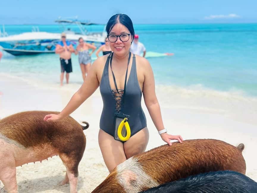 Nassau: Swimming Pigs, Turtles, Snorkel & More - Wildlife Spotting at Green Cay