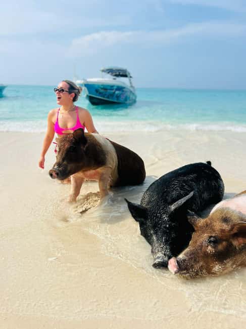 Nassau: Swimming Pigs, Turtles, Snorkel & More - Starting Point and Departure
